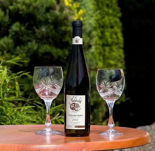 维辛公寓酒店 * Český Krumlov